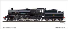 75014 Braveheart