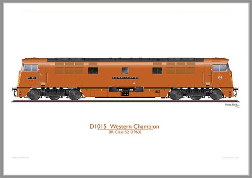 D1015 Western Champion