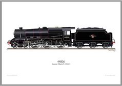 Print No. 300: 44806