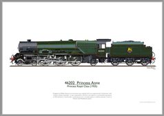 Print No. 311: 46202 Princess Anne