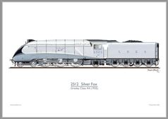 Print No. 401: 2512 Silver Fox