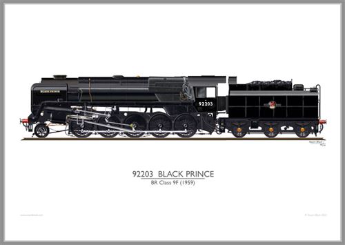 Print No. 525: 92203 Black Prince